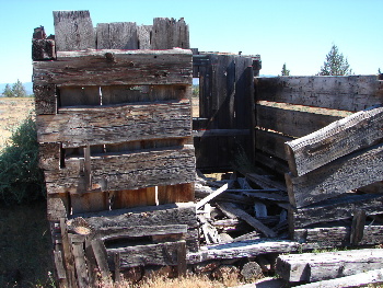 Hand-hewn cabin
